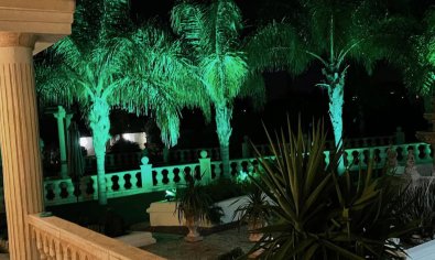 Resale - Villa -
Daya Vieja