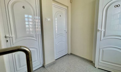 Reventa - Villa -
Guardamar del Segura