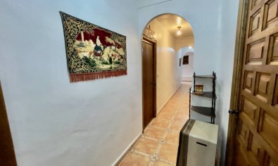 Bestaande bouw - Finca -
Orihuela