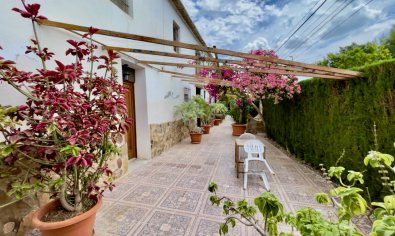 Bestaande bouw - Finca -
Orihuela