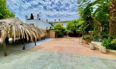 Bestaande bouw - Finca -
Orihuela