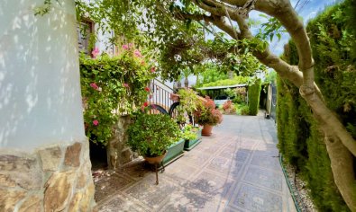 Bestaande bouw - Finca -
Orihuela