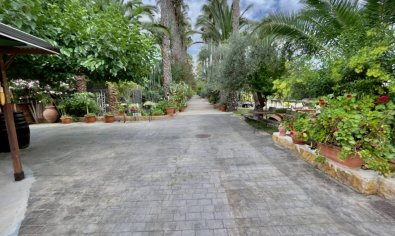 Bestaande bouw - Finca -
Orihuela