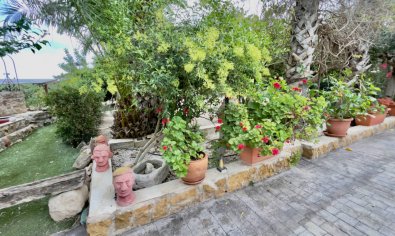 Bestaande bouw - Finca -
Orihuela