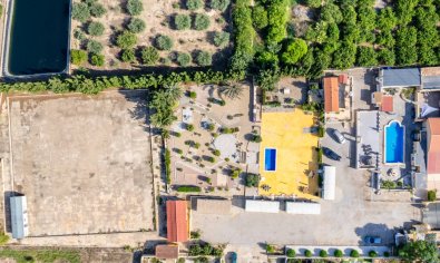 Resale - Finca -
Los Montesinos