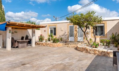 Resale - Finca -
Los Montesinos