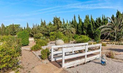 Resale - Finca -
Los Montesinos