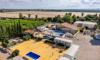 Resale - Finca -
Los Montesinos