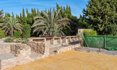 Resale - Finca -
Los Montesinos