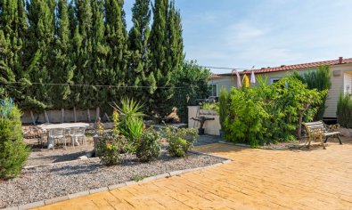 Resale - Finca -
Los Montesinos