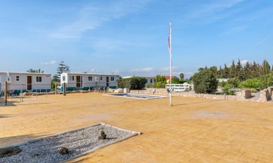 Resale - Finca -
Los Montesinos