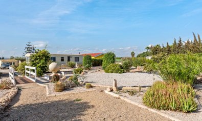 Resale - Finca -
Los Montesinos