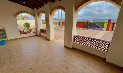 Reventa - Finca -
Orihuela