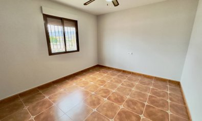 Reventa - Finca -
Orihuela