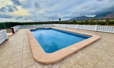 Reventa - Finca -
Orihuela