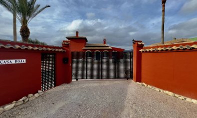 Reventa - Finca -
Orihuela