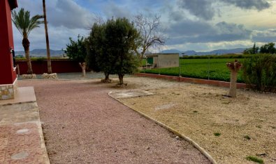 Reventa - Finca -
Orihuela