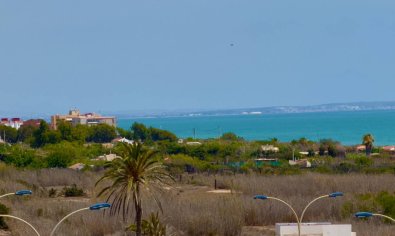 Resale - Villa -
Guardamar del Segura