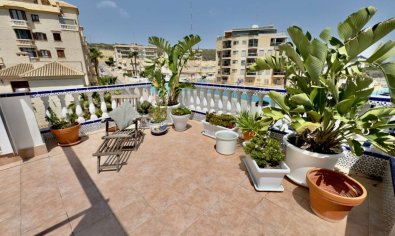 Resale - Villa -
Guardamar del Segura