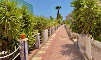 Resale - Villa -
Guardamar del Segura