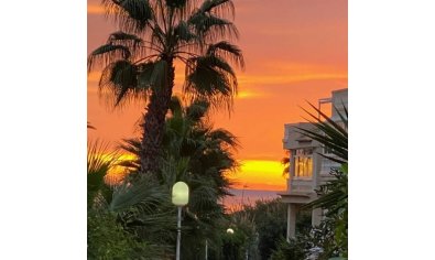 Resale - Villa -
Guardamar del Segura
