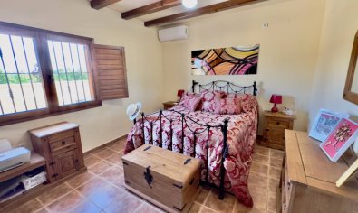 Bestaande bouw - Finca -
Orihuela