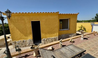 Bestaande bouw - Finca -
Orihuela