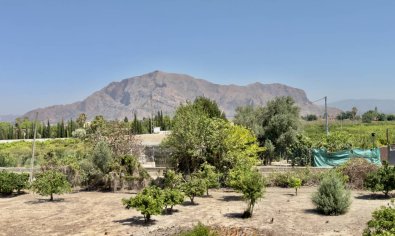 Bestaande bouw - Finca -
Orihuela