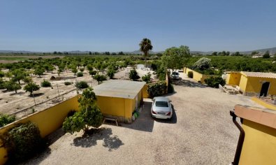 Bestaande bouw - Finca -
Orihuela