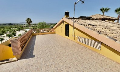 Bestaande bouw - Finca -
Orihuela
