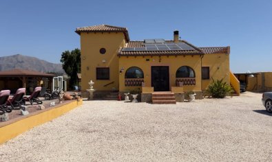 Bestaande bouw - Finca -
Orihuela