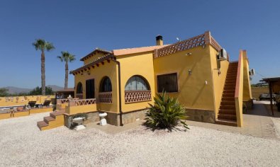 Bestaande bouw - Finca -
Orihuela