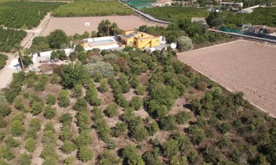 Bestaande bouw - Finca -
Orihuela