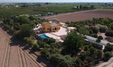 Bestaande bouw - Finca -
Orihuela