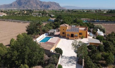 Bestaande bouw - Finca -
Orihuela
