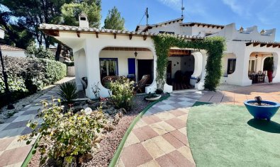 Reventa - Finca -
Castalla