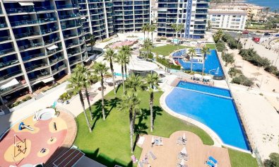 Bestaande bouw - Appartement -
Torrevieja - Punta Prima