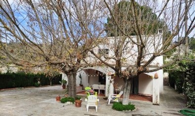 Bestaande bouw - Finca -
Cocentaina