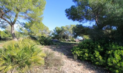 Bestaande bouw - Villa -
Orihuela Costa - Mil Palmeras