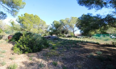 Bestaande bouw - Villa -
Orihuela Costa - Mil Palmeras