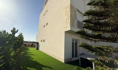 Bestaande bouw - Appartement -
Guardamar del Segura - El Raso