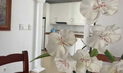 Bestaande bouw - Appartement -
Orihuela - Villamartín