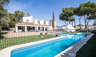 Resale - Villa -
Santa Pola