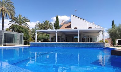 Bestaande bouw - Villa -
Elche
