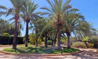 Bestaande bouw - Villa -
Elche