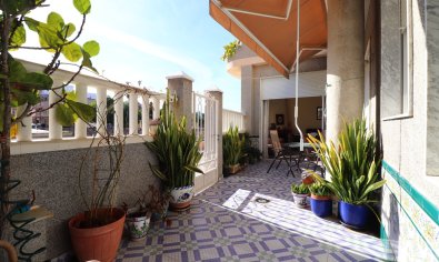 Bestaande bouw - Appartement -
Rojales