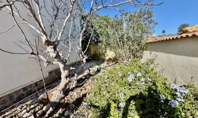 Resale - Villa -
Ciudad Quesada