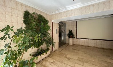 Bestaande bouw - Appartement -
Benidorm - Levante