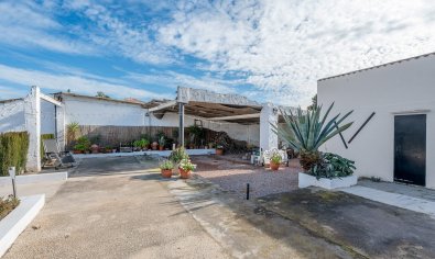 Resale - Finca -
Elche - Daimés