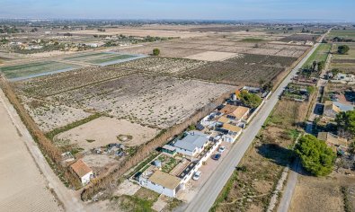 Reventa - Finca -
Elche - Daimés